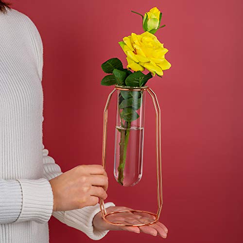 NUPTIO Vases Set of 2 Glass Vases with Metal Frame, Modern Rose Gold Frame Cylinder Clear Vase Planter Terrariums, Flower Holder Decorations for Wedding Living Room, Office, Party (Rose Gold, S+L) - Image 5