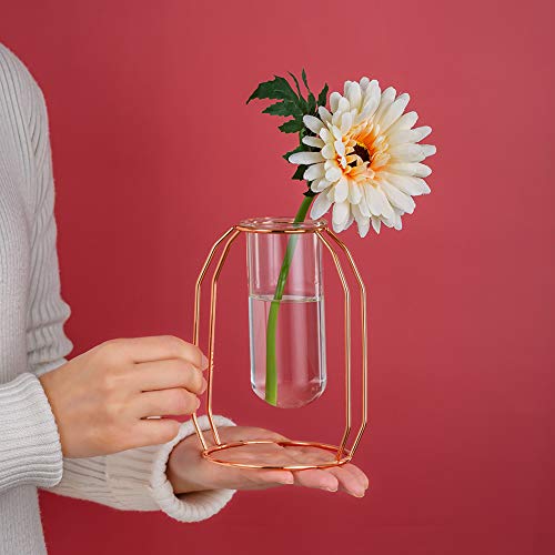 NUPTIO Vases Set of 2 Glass Vases with Metal Frame, Modern Rose Gold Frame Cylinder Clear Vase Planter Terrariums, Flower Holder Decorations for Wedding Living Room, Office, Party (Rose Gold, S+L) - Image 4