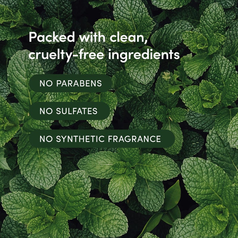 LATHER - Mint Thyme Hair Wash, 8 fl oz - Daily Shampoo & Cleanser - Revitalize Hair - Aloe, Chamomile, Cucumber - Sensitive Skin Safe - Hotel Approved - Vegan & Cruelty Free - Beauty & Hair Care - Image 4