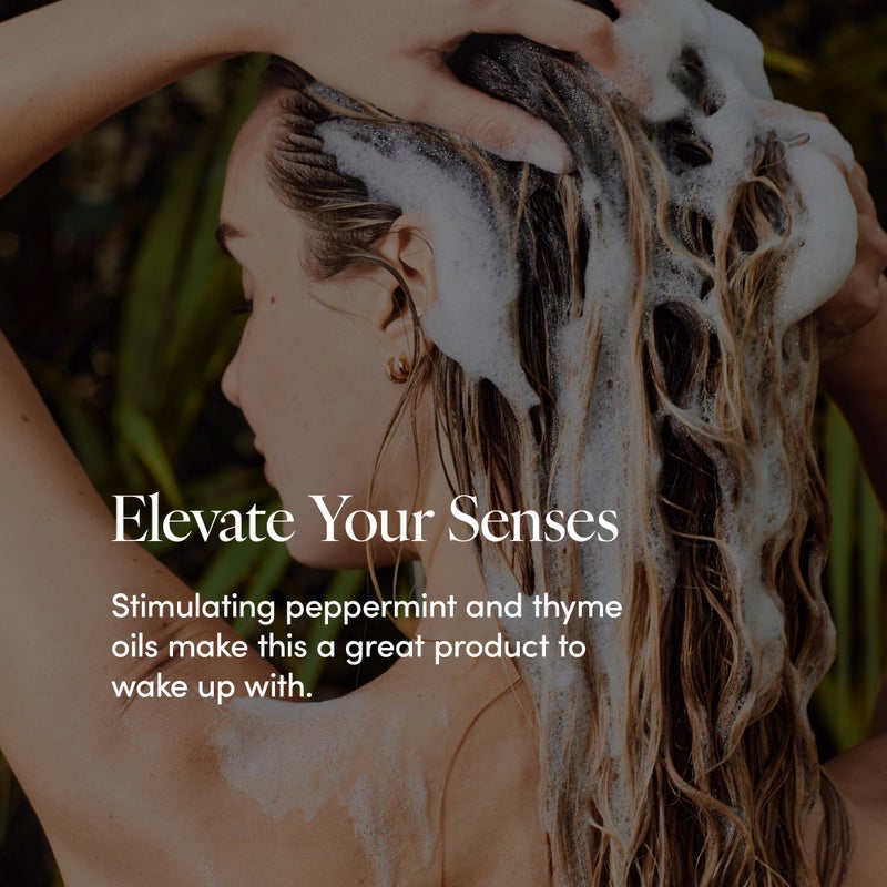 LATHER - Mint Thyme Hair Wash, 8 fl oz - Daily Shampoo & Cleanser - Revitalize Hair - Aloe, Chamomile, Cucumber - Sensitive Skin Safe - Hotel Approved - Vegan & Cruelty Free - Beauty & Hair Care - Image 3