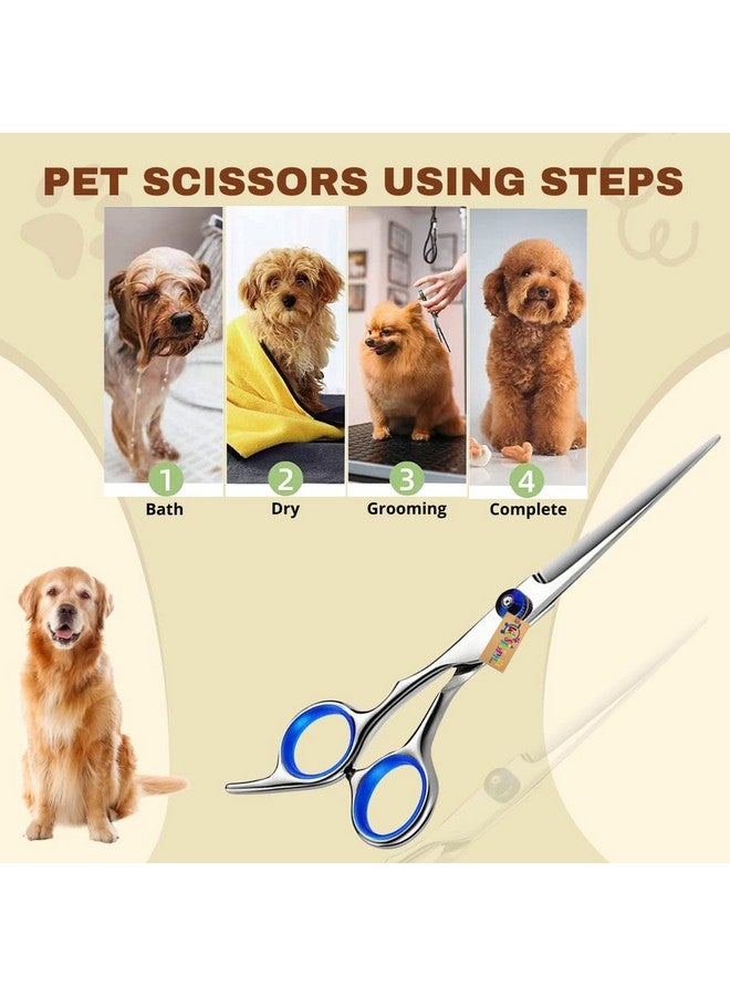 ويستيرن إرا مقص مستقيم للكلاب، مقص ترقق، مستقيم، تصميم خفيف الوزن للغاية، مريح، فعال، حماية آمنة، حساس للتشذيب، تصميم متقن، فتحات أصابع ممتدة (15 سم) - Image 3