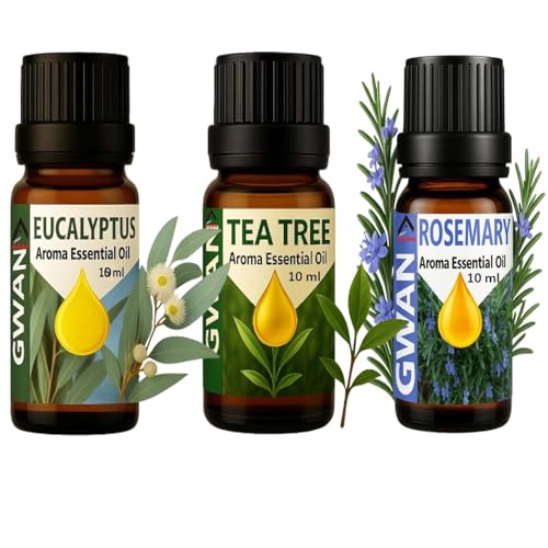 Gwan Aroma Oil for Home Fragrance | Best for Aromatherapy | Helps in Meditation | Used in Diffusers, Candles, Air Fresheners, Soaps, Humidifier, Diffuser |Rosemary, Tea Tree, Eucalyptus, 10 ml Each - Set of 3 - Image 1