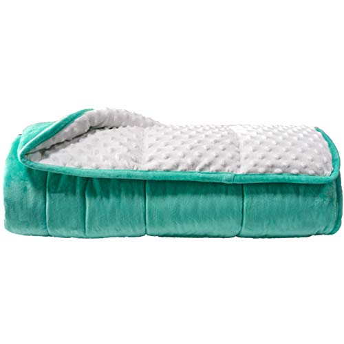 ALANSMA Reversible Weighted Blanket for All Season, Luxury Velvet, Warm and Cool, Adult 20Lb Green Weighted Blanket, Enjoy Sleeping Anywhere(Light Green,60"x80" 20lbs) - Image 1