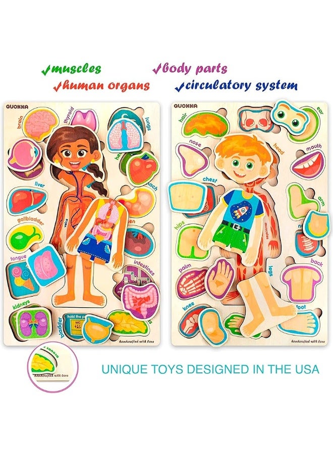 quokka ألغاز خشبية كوكّا للأطفال من عمر 4-6 سنوات - ألغاز مونتيسوري للأطفال من عمر 3-5 سنوات - لعبة تعليمية لتعلم أجزاء جسم الإنسان وهيكل العظام - ألعاب تعليمية للأولاد والبنات - Image 1