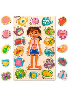 quokka QUOKKA Wooden Puzzles for Kids Ages 4-6 â€“ Montessori Puzzles for Toddlers 3-5 â€“ Preschool Game Learning Human Body Parts Anatomy Skeleton â€“ Educational Toys for Boy & Girl  - Image 3