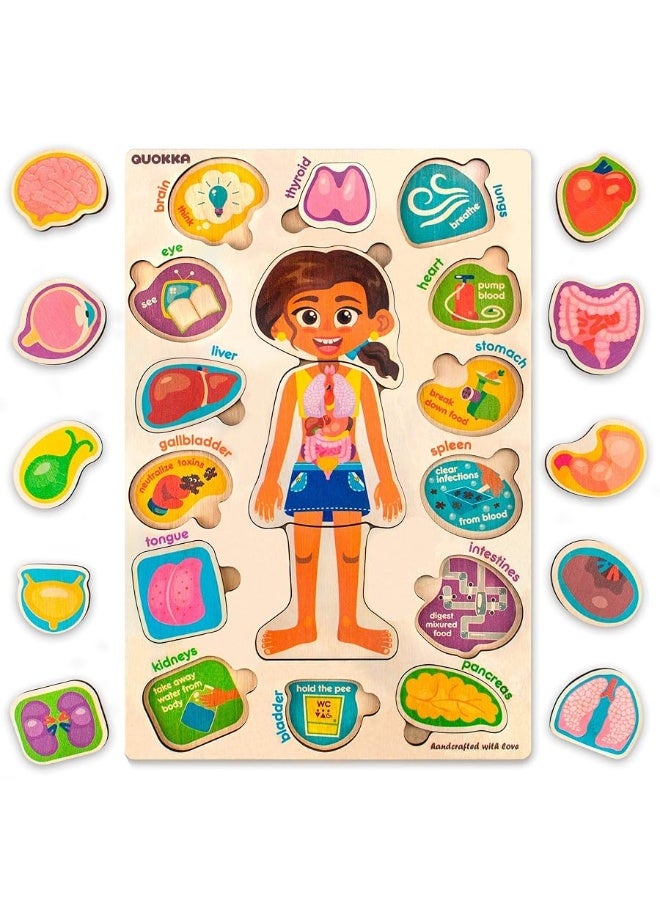 quokka ألغاز خشبية كوكّا للأطفال من عمر 4-6 سنوات - ألغاز مونتيسوري للأطفال من عمر 3-5 سنوات - لعبة تعليمية لتعلم أجزاء جسم الإنسان وهيكل العظام - ألعاب تعليمية للأولاد والبنات - Image 3