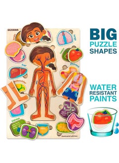 quokka QUOKKA Wooden Puzzles for Kids Ages 4-6 â€“ Montessori Puzzles for Toddlers 3-5 â€“ Preschool Game Learning Human Body Parts Anatomy Skeleton â€“ Educational Toys for Boy & Girl  - Image 2