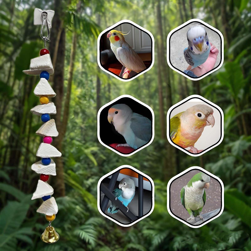 PRFOKEY Parrot Toys 4-Pack with Cuttlebone for Birds - Calcium Chew Toys & Grinding Stone for Parakeets, Budgies, Cockatiels, Lovebirds - Promotes Beak Health, Prevents Destructive Chewing, Easy to Install - Image 2