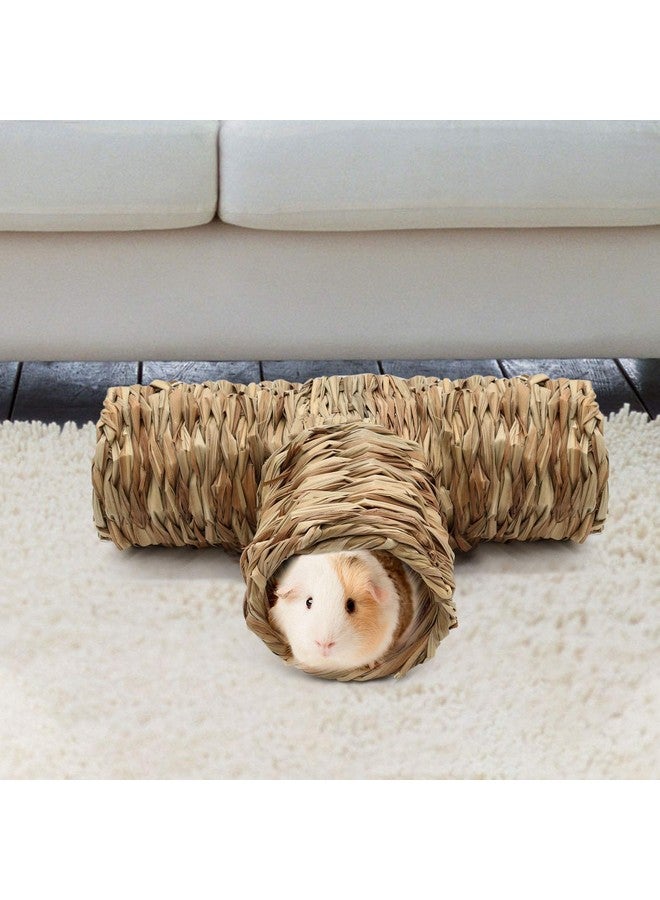 BWOGUE Hamster Grass Tunnel Toy Nature's Hideaway Guinea Pig Tunnels and Tubes Toys for Rats,Syrian Hamster,Ferrets,Guinea Pig,Chinchilla Hedgehog and Bunny - Image 5