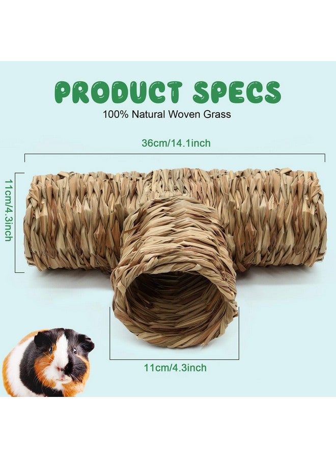 BWOGUE Hamster Grass Tunnel Toy Nature's Hideaway Guinea Pig Tunnels and Tubes Toys for Rats,Syrian Hamster,Ferrets,Guinea Pig,Chinchilla Hedgehog and Bunny - Image 2
