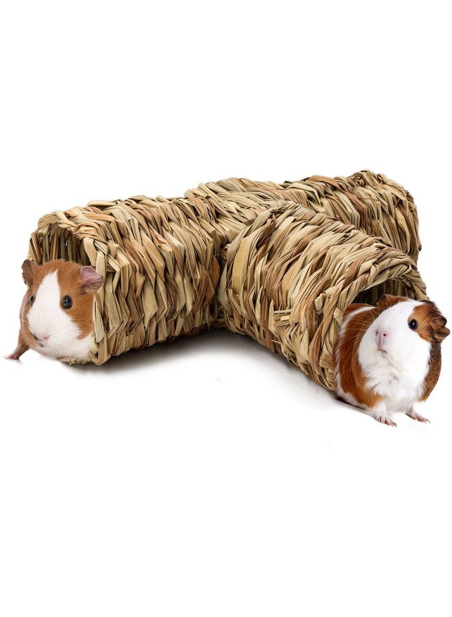 BWOGUE Hamster Grass Tunnel Toy Nature's Hideaway Guinea Pig Tunnels and Tubes Toys for Rats,Syrian Hamster,Ferrets,Guinea Pig,Chinchilla Hedgehog and Bunny - Image 1