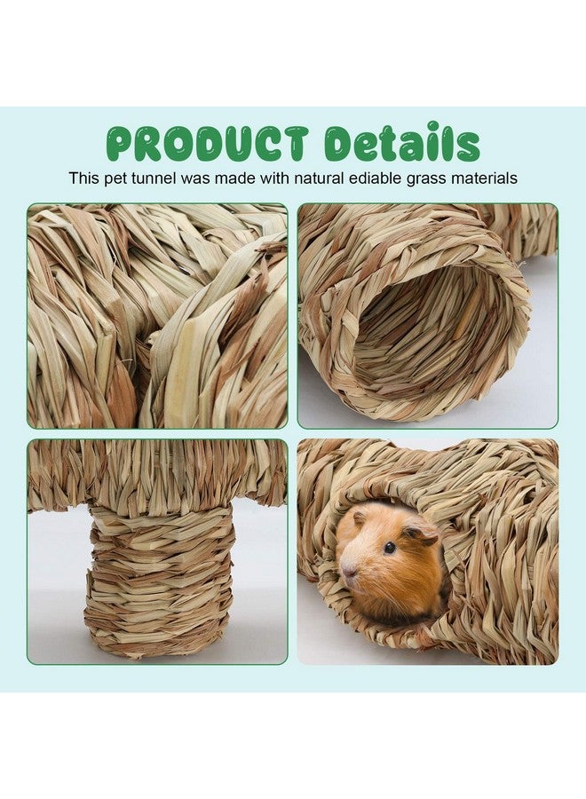 BWOGUE Hamster Grass Tunnel Toy Nature's Hideaway Guinea Pig Tunnels and Tubes Toys for Rats,Syrian Hamster,Ferrets,Guinea Pig,Chinchilla Hedgehog and Bunny - Image 3
