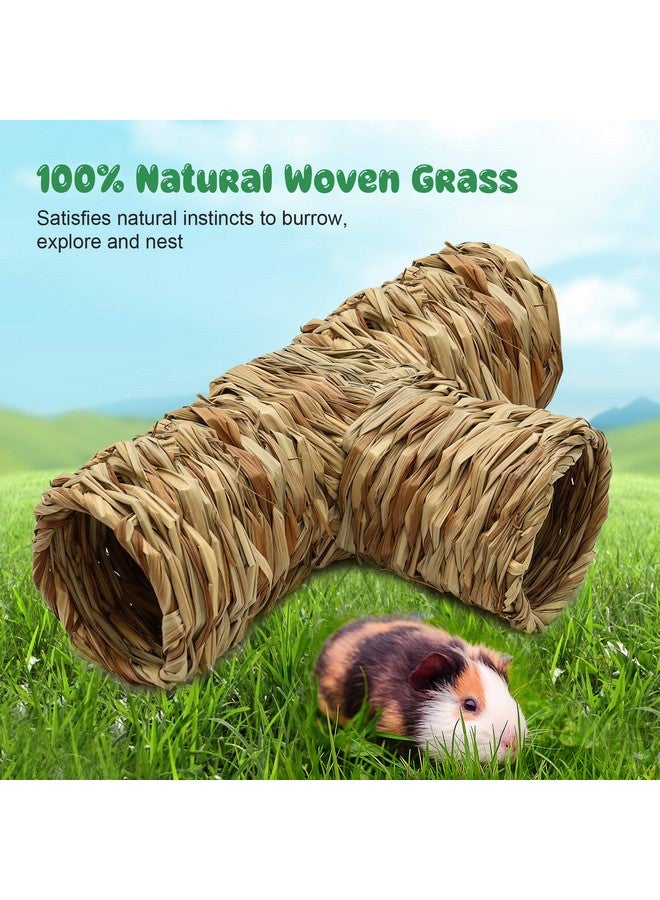 BWOGUE Hamster Grass Tunnel Toy Nature's Hideaway Guinea Pig Tunnels and Tubes Toys for Rats,Syrian Hamster,Ferrets,Guinea Pig,Chinchilla Hedgehog and Bunny - Image 4