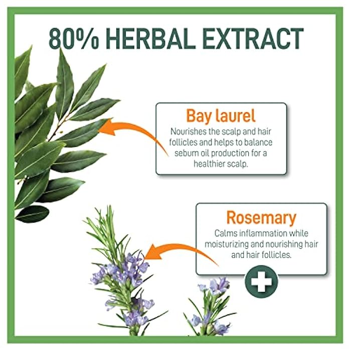 Moraz Men's Herbal Shampoo for Normal Hair - Clarifying Shampoo - Cleansing, Moisturizing Shampoo - Shampoo for Men to Strengthen Hair Roots - 17 oz - Image 3