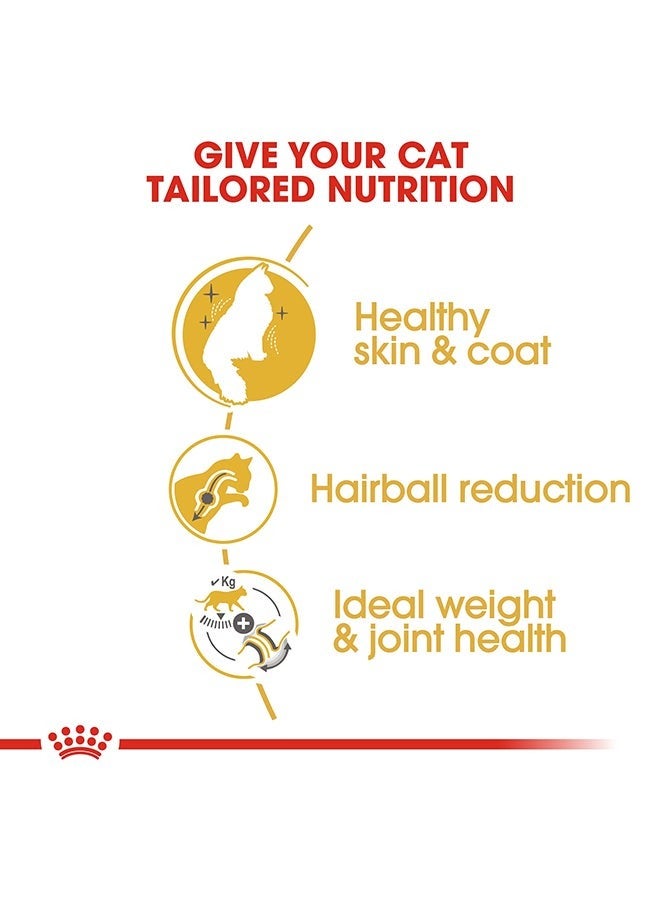 رويال كانين تغذية القطط من سلالة قطة الغابة النرويجية البالغة 2 كجم - Image 4