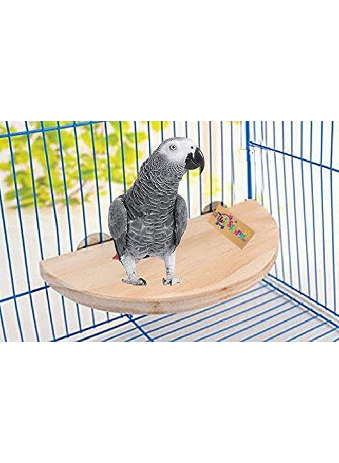 ويستيرن إرا لعبة منصة/مجثم/حامل للطيور (8.5 بوصة) - Image 1