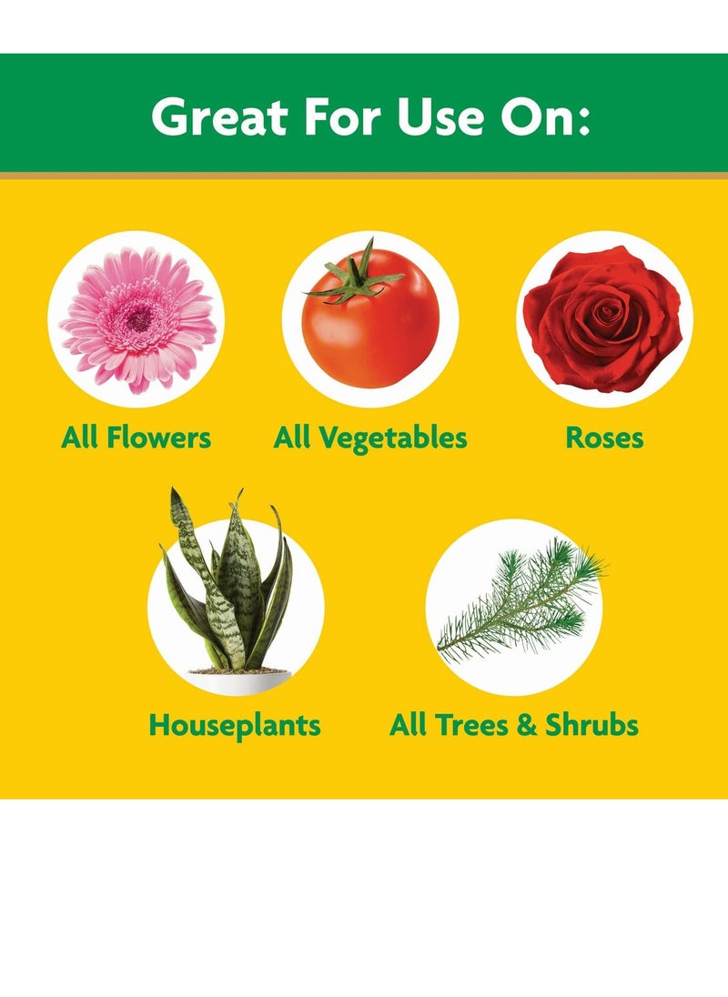 Miracle-Gro - Miracle gro water soluble all purpose plant food fertilizer for indoor or outdoor flowers vegetables or trees 3 lbs - Image 1
