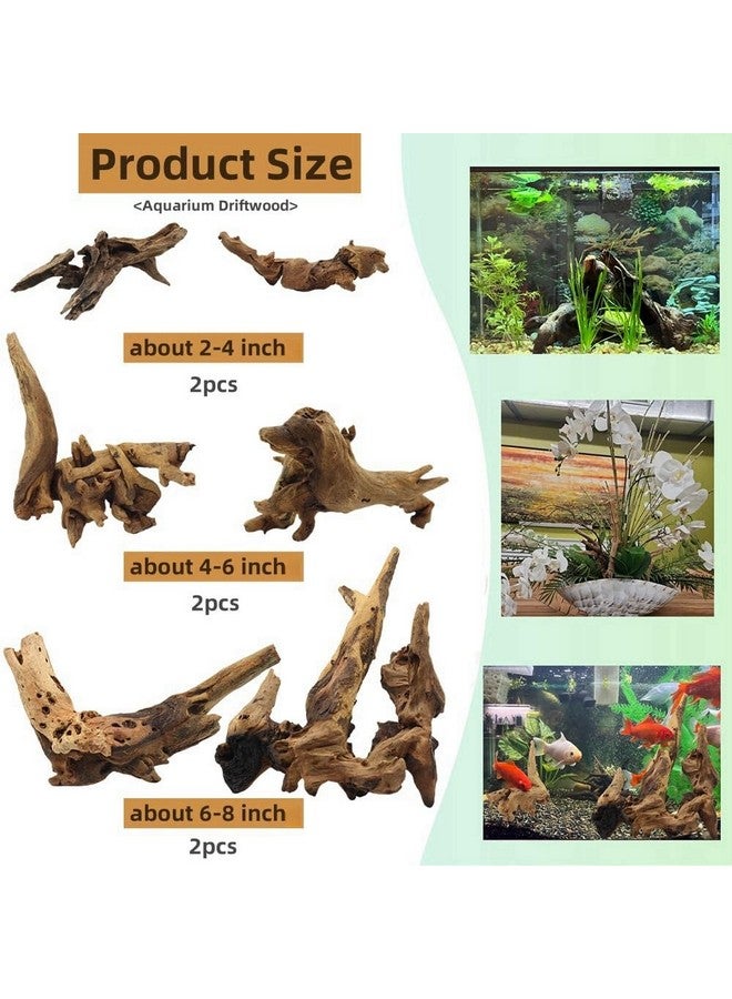 DoubleWood Driftwood for Aquarium Decor, Fish Tank Decor, 6 Pcs Reptile Branches, Drift Wood for Fishtank, Aquarium Hardscape, Crafts, Betta Fish Decor, Reptiles Driftwood Branch (Driftwood 2-8 Inch (Pack of 6)) - Image 2