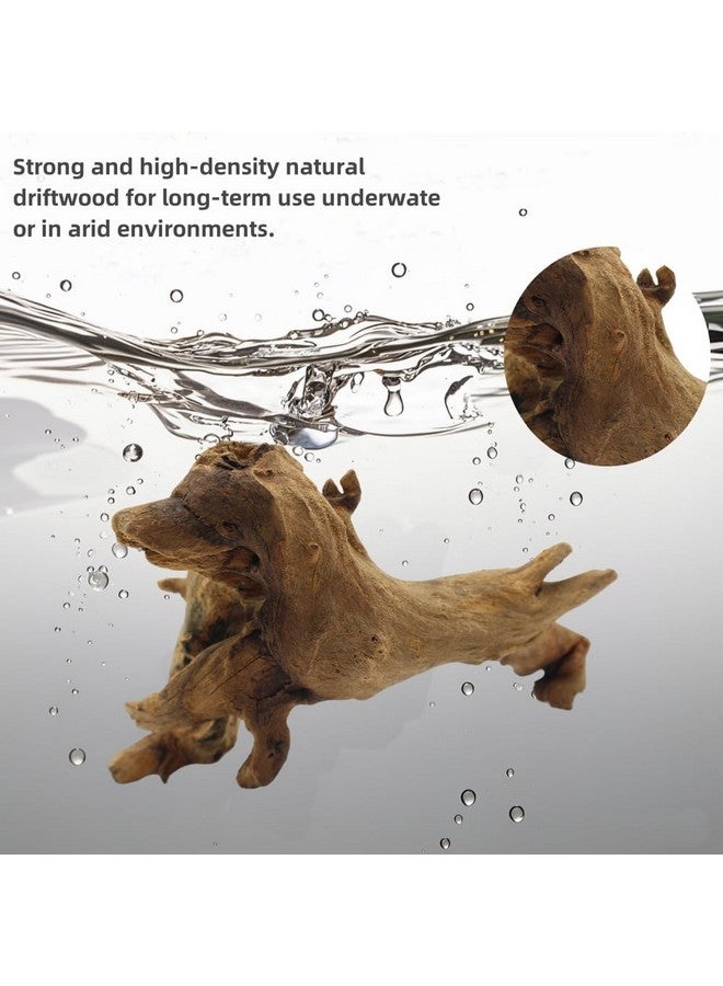 DoubleWood Driftwood for Aquarium Decor, Fish Tank Decor, 6 Pcs Reptile Branches, Drift Wood for Fishtank, Aquarium Hardscape, Crafts, Betta Fish Decor, Reptiles Driftwood Branch (Driftwood 2-8 Inch (Pack of 6)) - Image 3