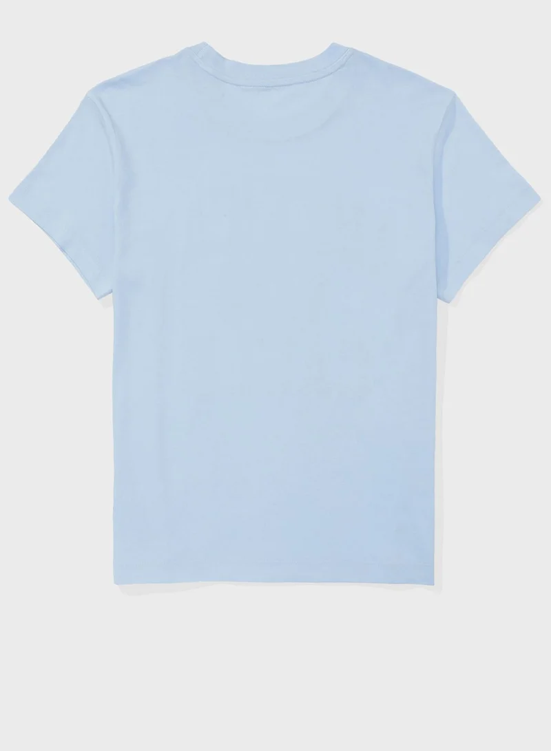American Eagle Graphic Crew Neck T-Shirt