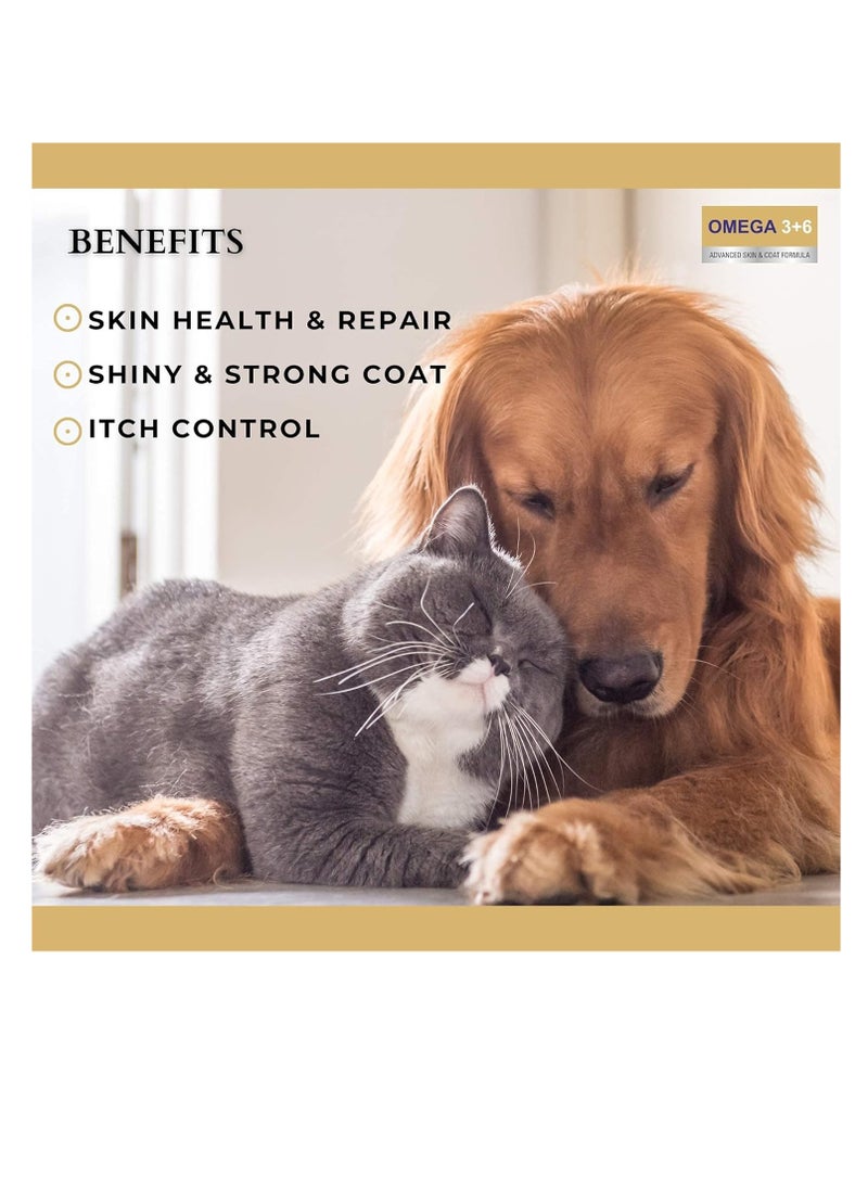 PET PET360 Omega 3 6 Concentrated Salmon Fish Oil with Vitamins  Minerals and Taurine Advanced Skin and Coat Formula for Dogs and Cats  200 ml  Pack of 1  - Image 4