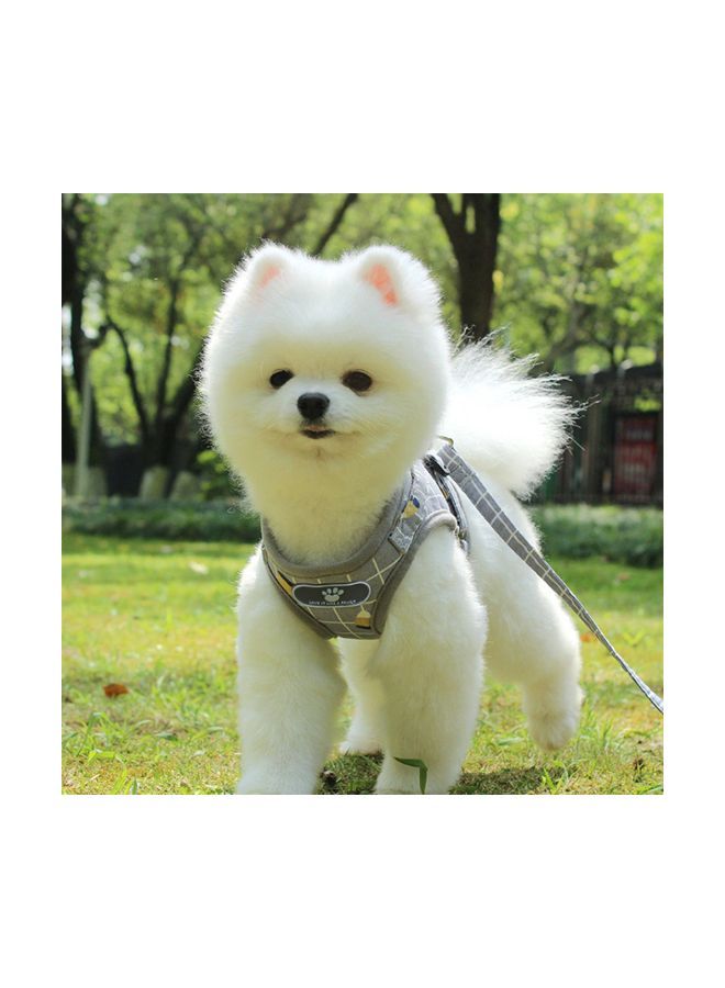 NIBEMINENT Reflective Breathable Leash Grey - Image 2