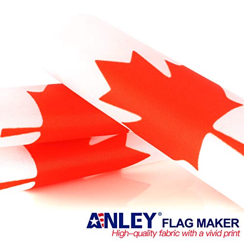 Anley Canada Deluxe Desk Flag Set 6 x 4 Inch Miniature Canadian Desktop Flag with 12 Solid Pole Vivid Color and Fade Resistant Black Base and Spear Top - Image 3