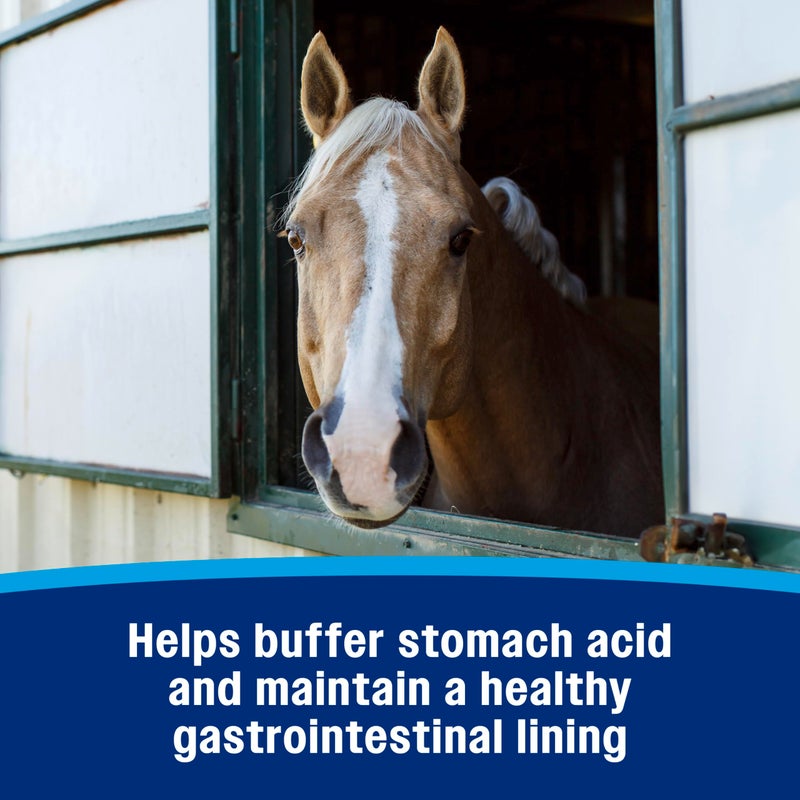 Farnam Gastric Health Pellets, Daily Gut and Digestive Health Supplement for Horses Helps Maintain a Healthy Gastrointestinal Tract and Gut Function - Image 5