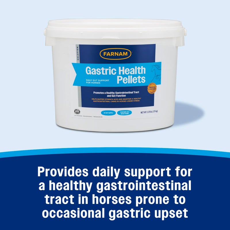 Farnam Gastric Health Pellets, Daily Gut and Digestive Health Supplement for Horses Helps Maintain a Healthy Gastrointestinal Tract and Gut Function - Image 2