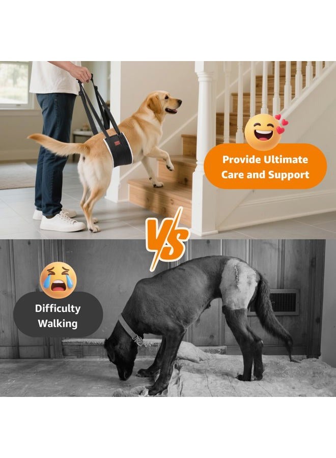 LOOBANI Portable Dog Sling for Back Legs, Hip Support Harness to Help Lift Dogs Rear for Canine Aid and Old K9 Cruciate Ligament Rehabilitation (Large) - Image 2
