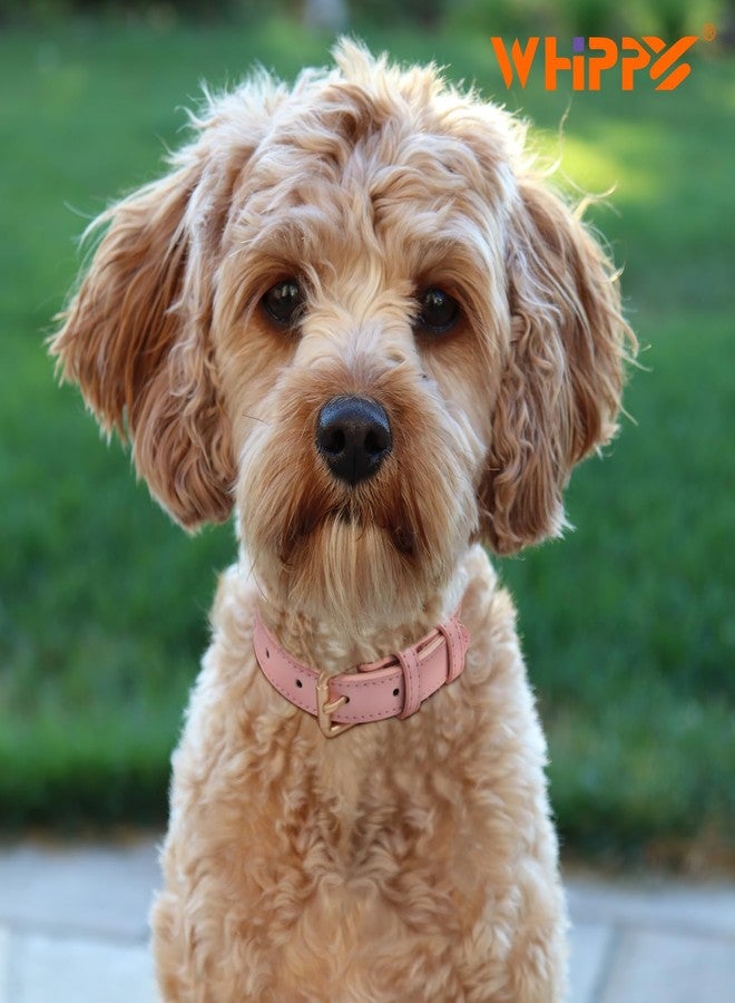 WHIPPY Leather Dog Collar for Small Dog Adjustable Soft Breathable Leather Padded Puppy Collar with Alloy Buckle Heavy Duty Waterproof Classic Dog Pet Collar,Pink,XS - Image 5