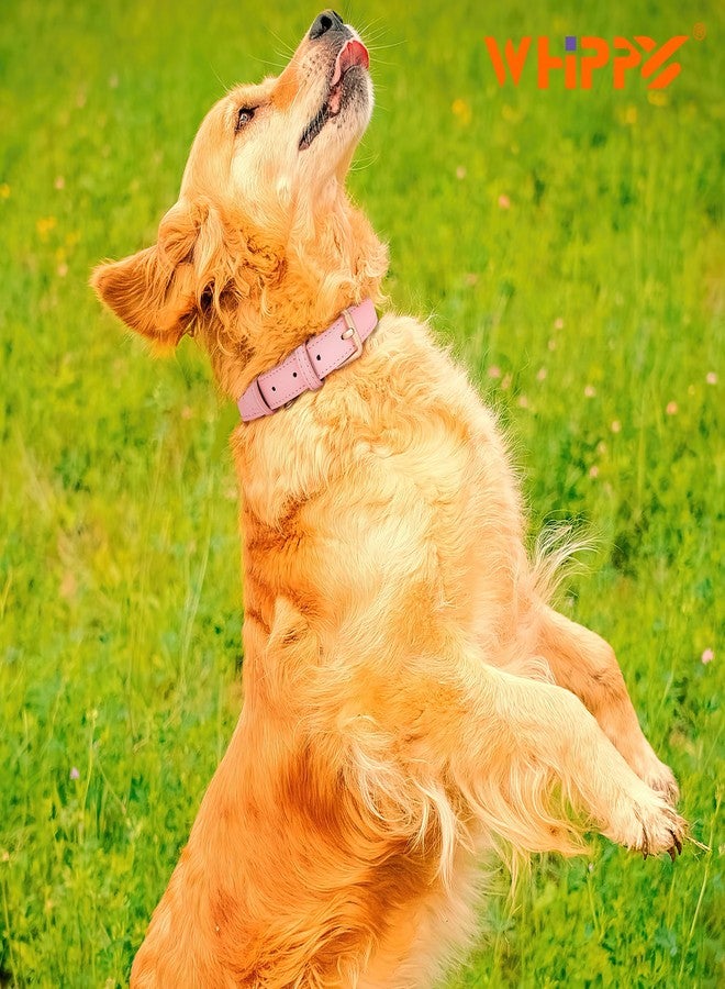 WHIPPY Leather Dog Collar for Small Dog Adjustable Soft Breathable Leather Padded Puppy Collar with Alloy Buckle Heavy Duty Waterproof Classic Dog Pet Collar,Pink,XS - Image 2