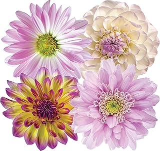 StikArt StikArt 20 Peel and Stick Purple and White Dahlias and Daisies Flowers for Walls  - Image 1