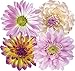 StikArt StikArt 20 Peel and Stick Purple and White Dahlias and Daisies Flowers for Walls  - Image 2