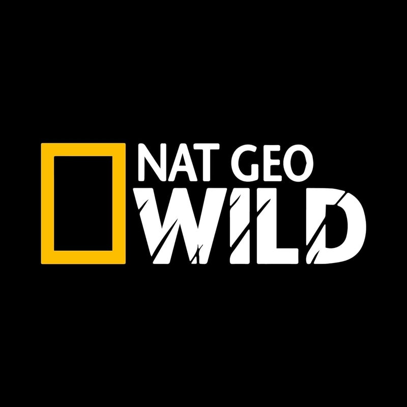 SHIVOID NAT Geo Wild Sticker for Car & Bike White Car Stickers National Geographic Sticker - Image 1