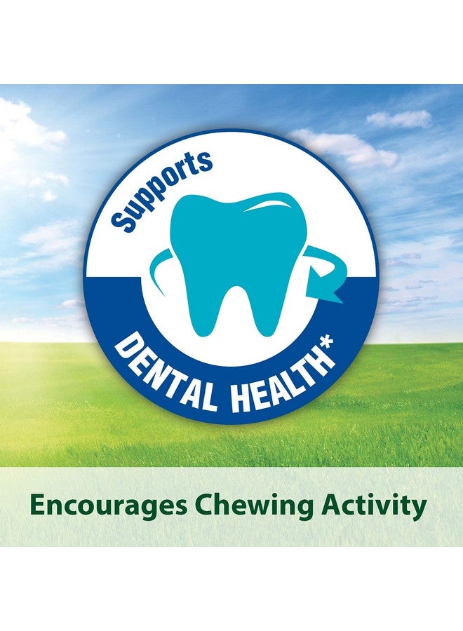 Kaytee Timothy Hay Blend Cubes for Pet Rabbits, Guinea Pigs, Chinchillas, and Other Small Animals, 1 Pound - Image 5