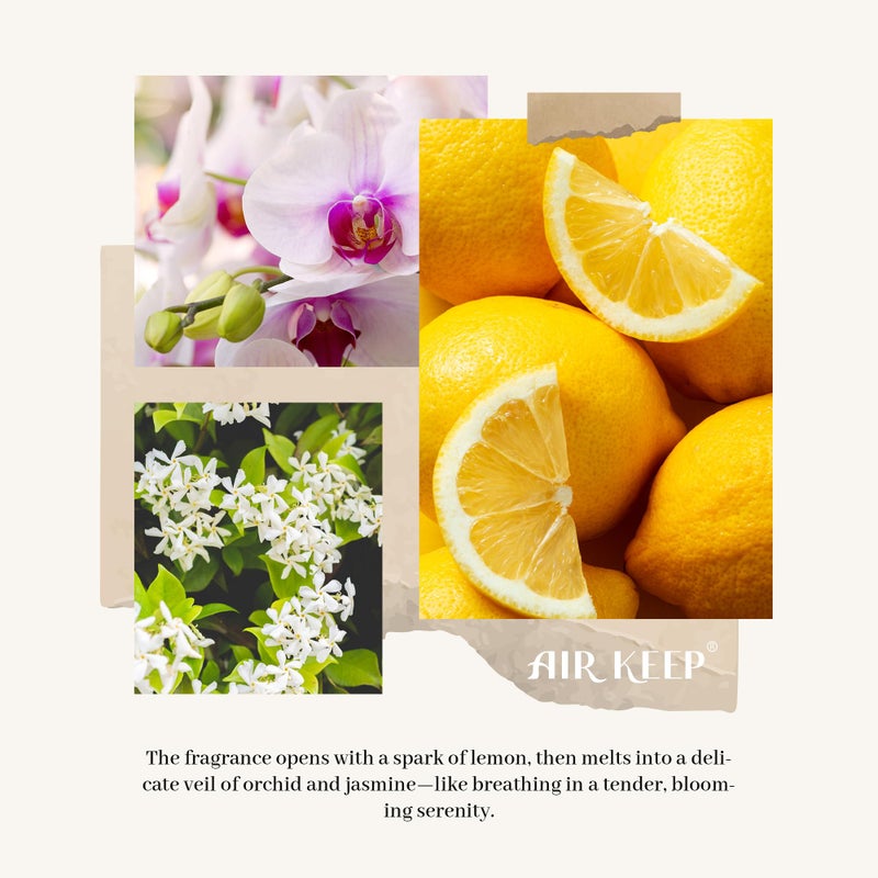 Airkeep Reed Diffuser Set,3.38 fl oz (100 ml) - Flower Shop Oil Diffusers with 8 Reed Sticks, Home Fragrance Reed Diffuser for Bathroom Shelf Decor - Image 2