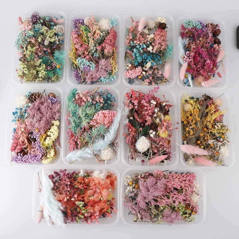 klarako 1 Box Real Dried Flower Dry Plants for Aromatherapy Candle Epoxy Resin Pendant Necklace Jewelry Making Craft DIY Accessories - Image 1