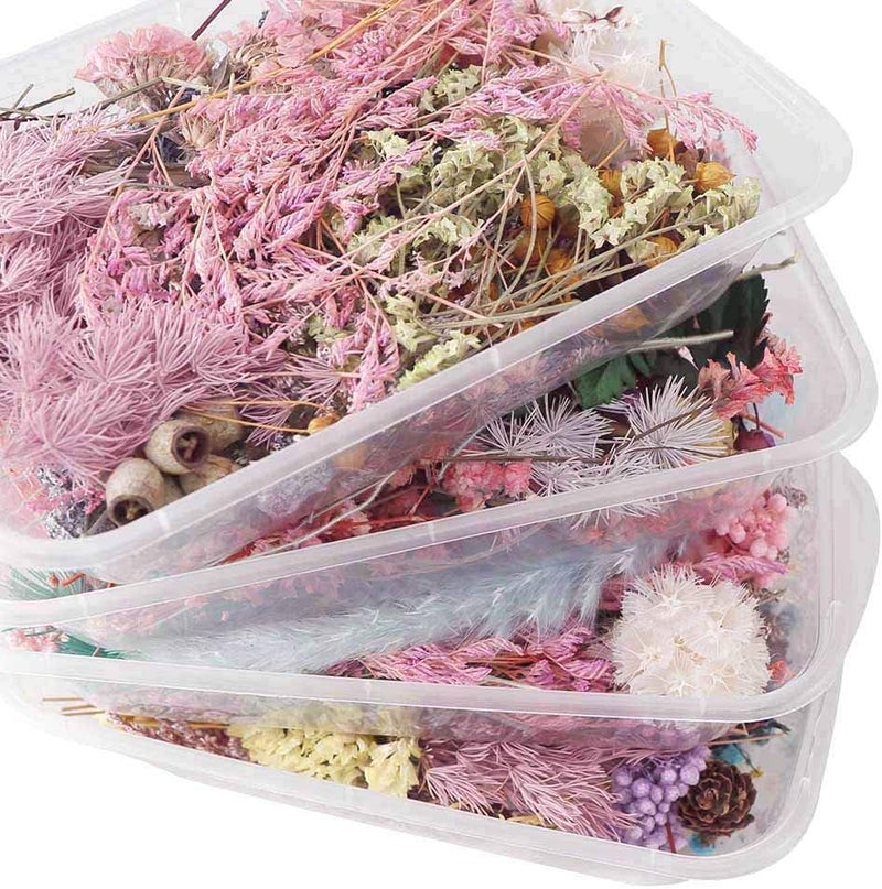 klarako 1 Box Real Dried Flower Dry Plants for Aromatherapy Candle Epoxy Resin Pendant Necklace Jewelry Making Craft DIY Accessories - Image 2