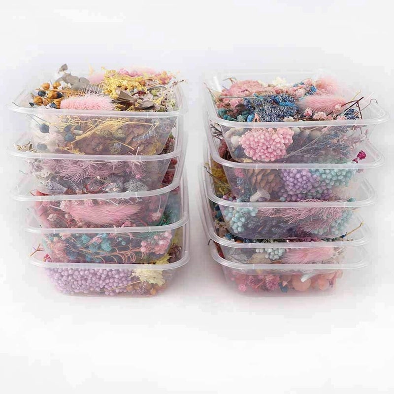 klarako 1 Box Real Dried Flower Dry Plants for Aromatherapy Candle Epoxy Resin Pendant Necklace Jewelry Making Craft DIY Accessories - Image 5