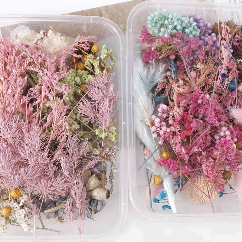 klarako 1 Box Real Dried Flower Dry Plants for Aromatherapy Candle Epoxy Resin Pendant Necklace Jewelry Making Craft DIY Accessories - Image 4