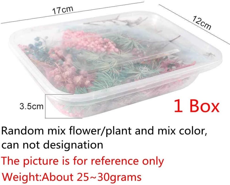 klarako 1 Box Real Dried Flower Dry Plants for Aromatherapy Candle Epoxy Resin Pendant Necklace Jewelry Making Craft DIY Accessories - Image 3