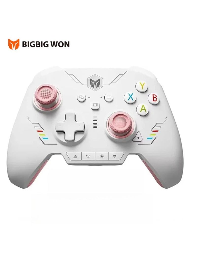 بيج بيج وين ذراع تحكم BIGBIG WON Rainbow 2 SE - Image 2