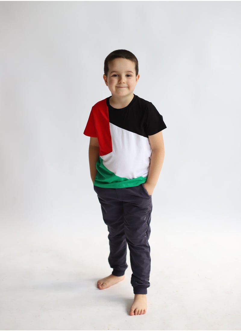 Palestine Flag Tshirt - pzsku/ZAC9D08EF541533C81085Z/45/_/1696874550/bc9069f6-10c1-4bbe-b460-304cf7b58ecd