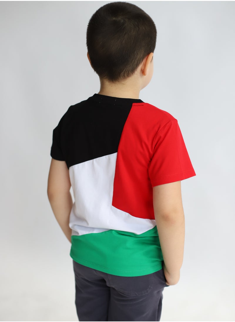 Palestine Flag Tshirt - pzsku/ZAC9D08EF541533C81085Z/45/_/1696874551/c1fdc00d-8e29-441d-89c2-2a05a8f625b9