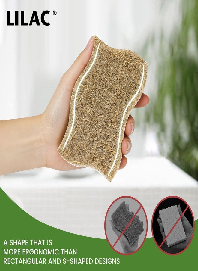 LILAC 12 Pack Natural Cellulose Sponges for Dishes - Non-Scratch Kitchen Scrub Sponges - 100% Biodegradable & Eco-Friendly Cleaning Sponges for Non-Stick Cookware, Bathroom & Household - Image 3