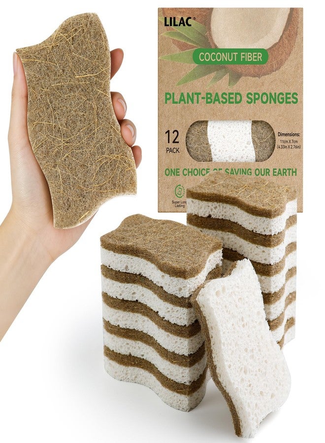 LILAC 12 Pack Natural Cellulose Sponges for Dishes - Non-Scratch Kitchen Scrub Sponges - 100% Biodegradable & Eco-Friendly Cleaning Sponges for Non-Stick Cookware, Bathroom & Household - Image 1