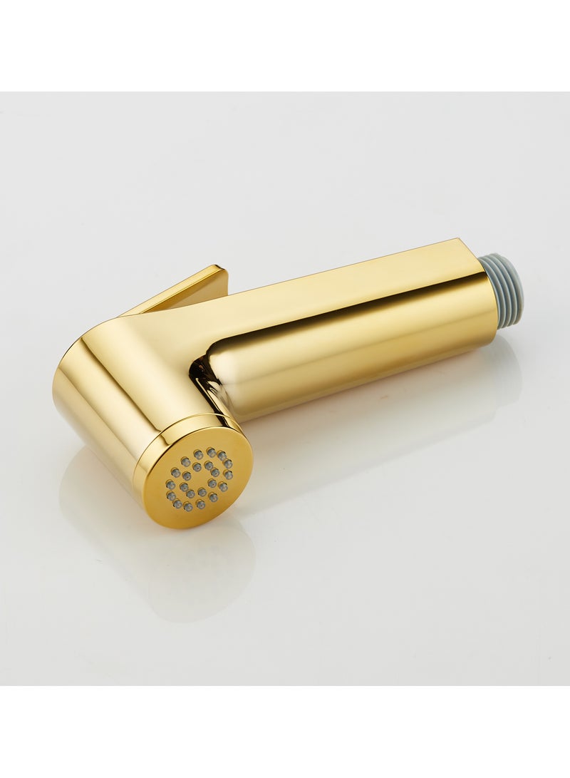 HESANIT Logic Shattaf Sprayer Set with Pipe and Wall Bracket Gold 580100300G - Image 3