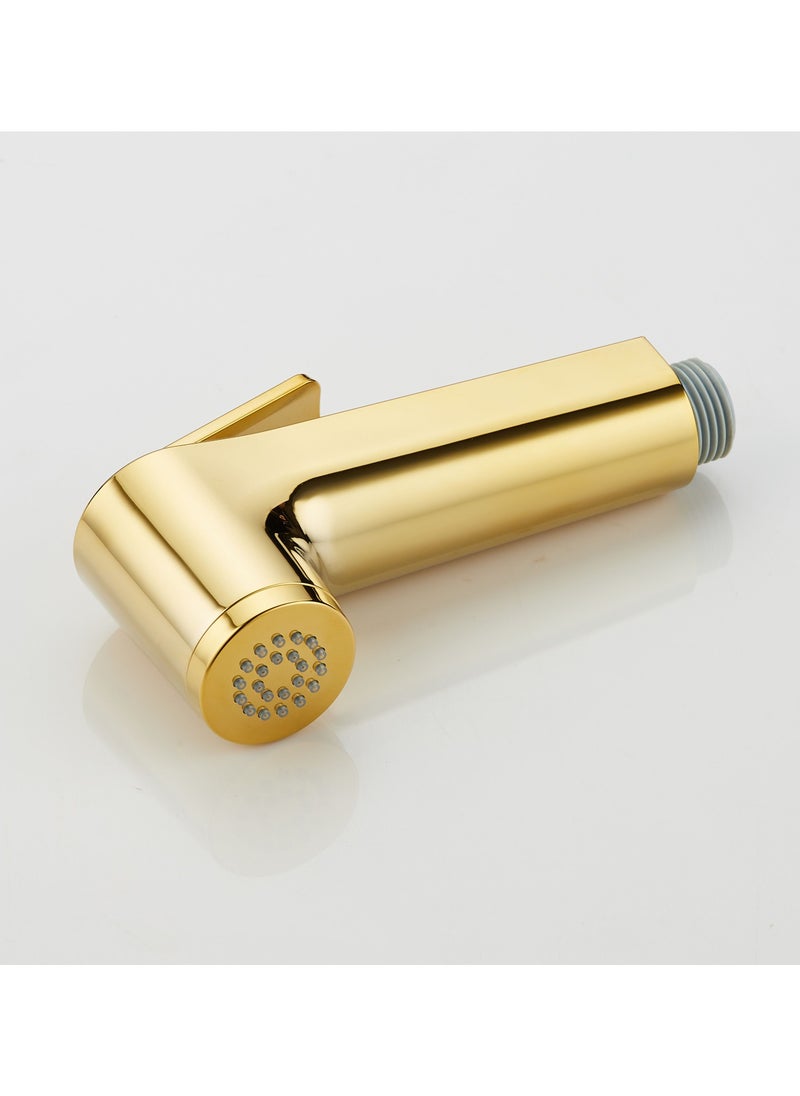 HESANIT HESANIT Logic Shattaf Sprayer Set with Pipe and Wall Bracket Gold 580100300G  - Image 2