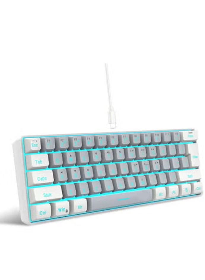 60% Wired Gaming Keyboard RGB Backlit Mini Keyboard Waterproof Small Ultra-Compact 61 Keys Keyboard for PC/Mac Gamer Typist Travel Easy to Carry on Business Trip - Image 1